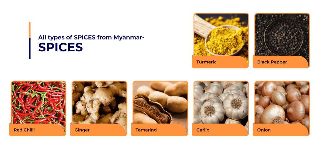 Mynamar spices