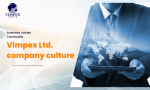 Vimpex Ltd. company culture